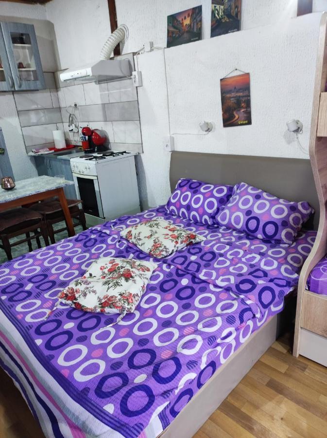 Prenociste Indija Hrvic Appartement Buitenkant foto